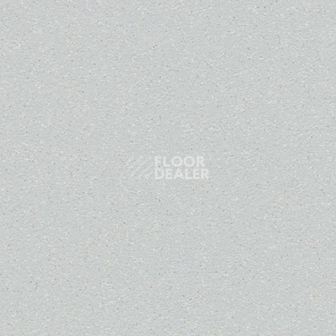 Линолеум Forbo SureStep Laguna 181262 trout фото 1 | FLOORDEALER